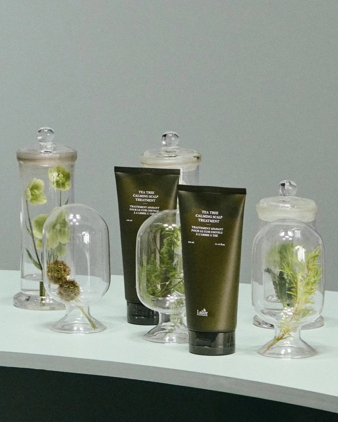 LADOR Tea Tree Calming Scalp Treatment galvos odos priežiūros priemonė